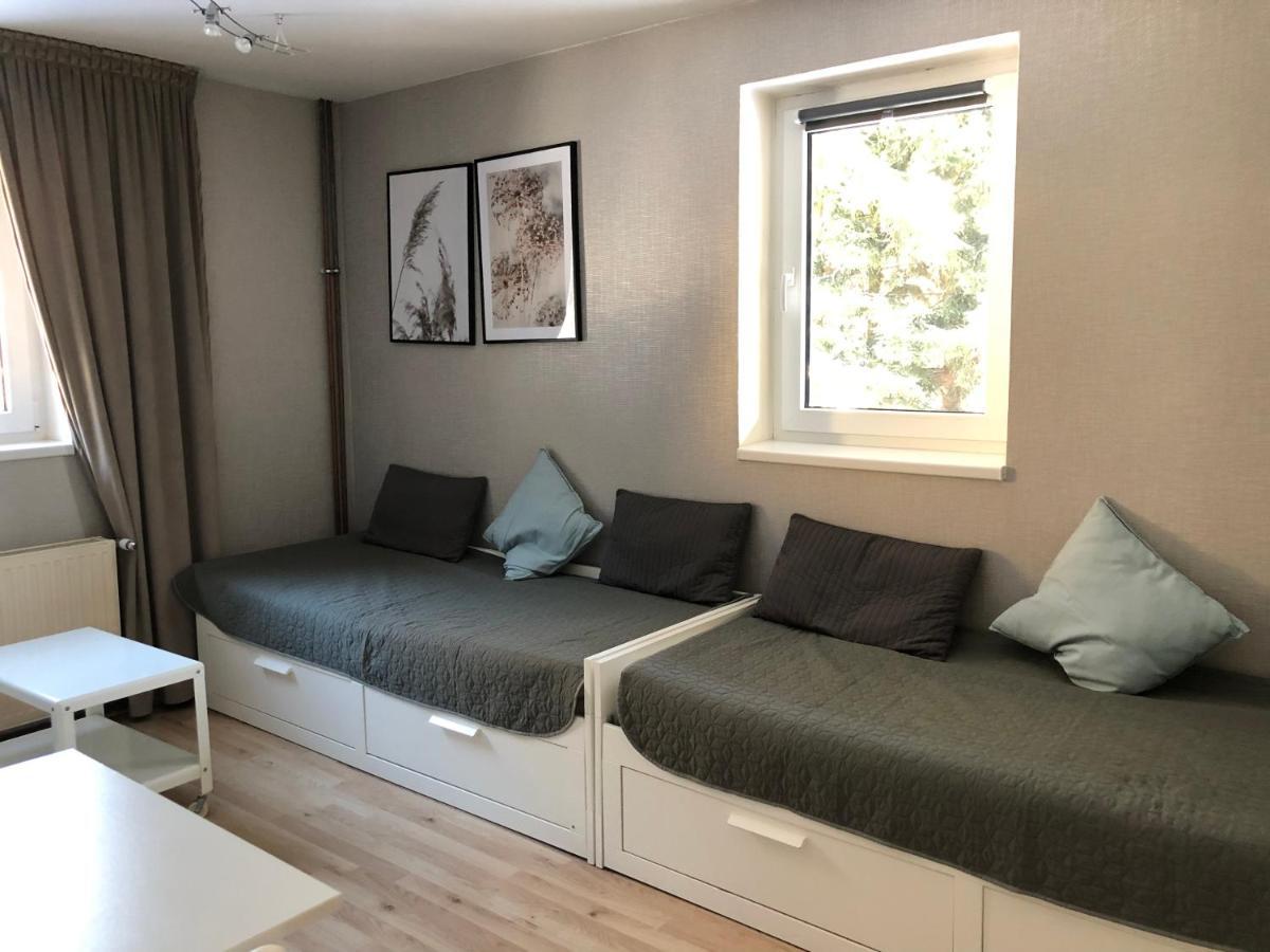 Apartman V Zeleni Dolni Morava Bagian luar foto