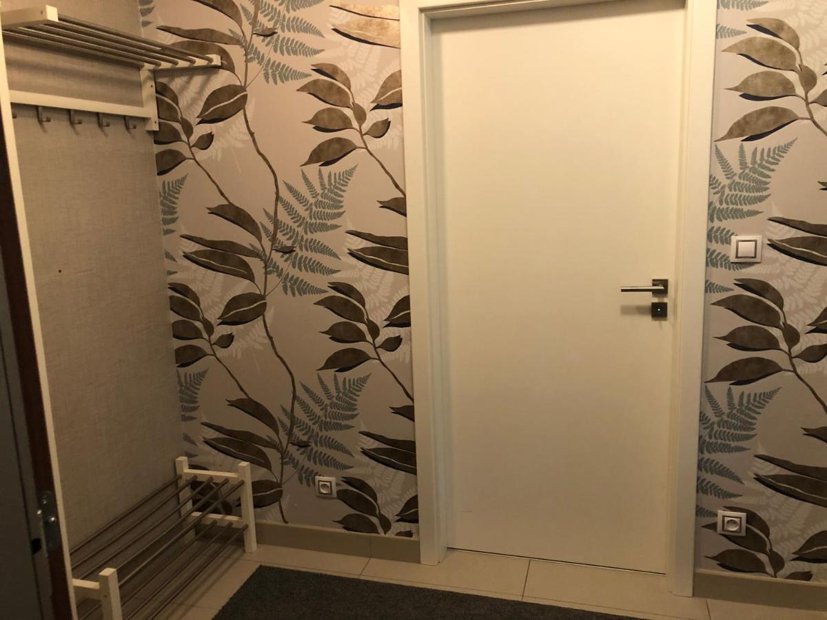 Apartman V Zeleni Dolni Morava Bagian luar foto